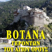 ΒΟΤΑΝΑ – ΓΕΡΟΝΤΩΝ ΤΟΥ ΑΓΙΟΥ ΟΡΟΥΣ